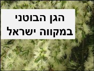 הגן הבוטני במקווה ישראל