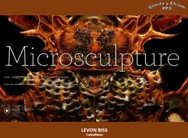 Levon Biss<BR/>Castellano Microsculpture
