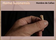 Homo luzonensis<BR/>Hombre de Callao
